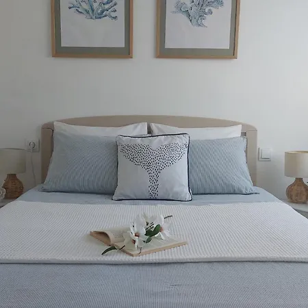 Cozy * 卡拉费尔